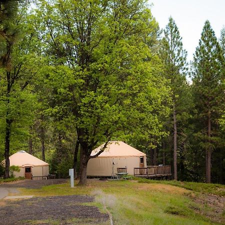 Yosemite Lakes Hillside Yurt 1 Harden Flat Exterior foto