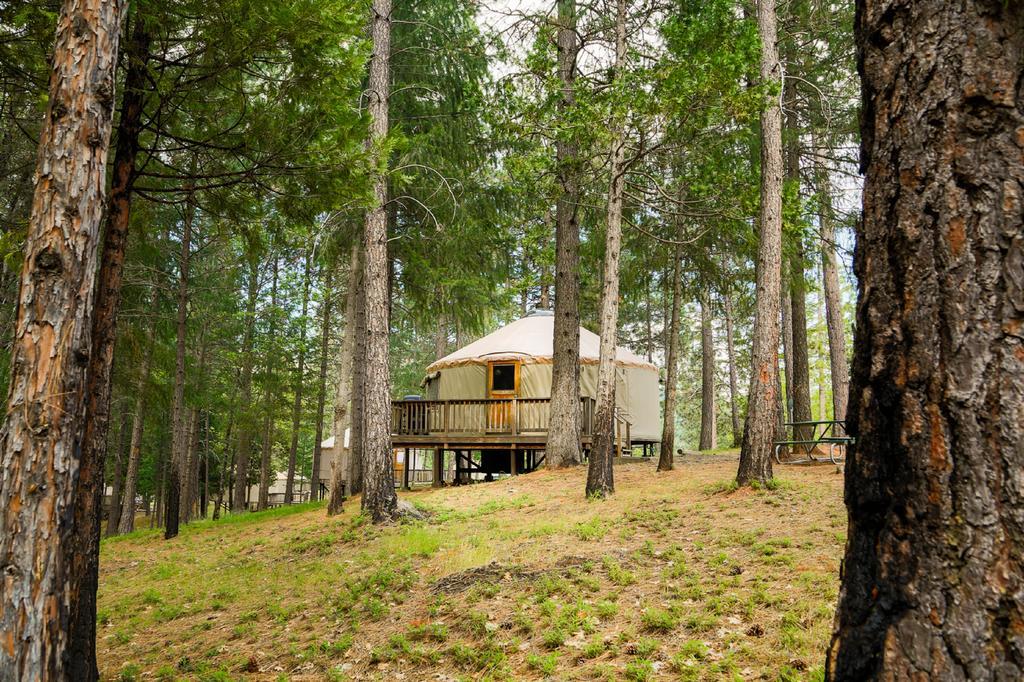 Yosemite Lakes Hillside Yurt 1 Harden Flat Exterior foto