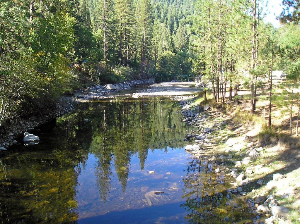 Yosemite Lakes Hillside Yurt 1 Harden Flat Exterior foto
