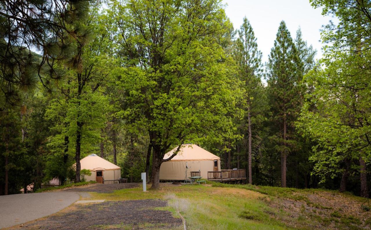 Yosemite Lakes Hillside Yurt 1 Harden Flat Exterior foto